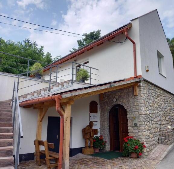 פנסיון Borház