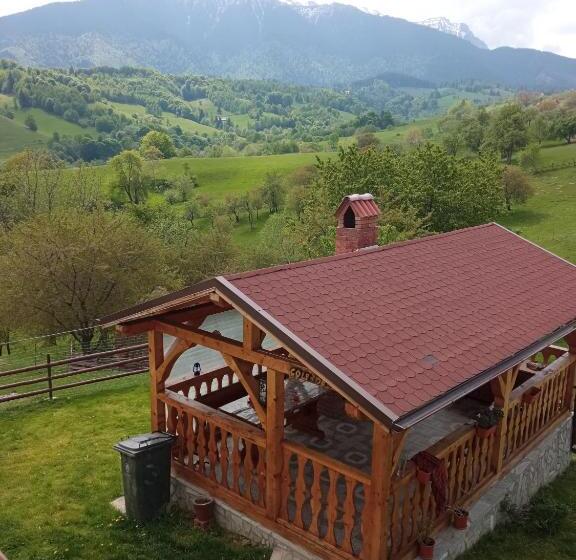 بنسيون Casa Colț De Rai