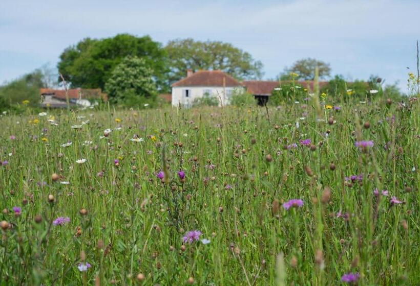 ペンション Domaine La Barbe