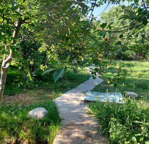 پانسیون Green Forest Guest House