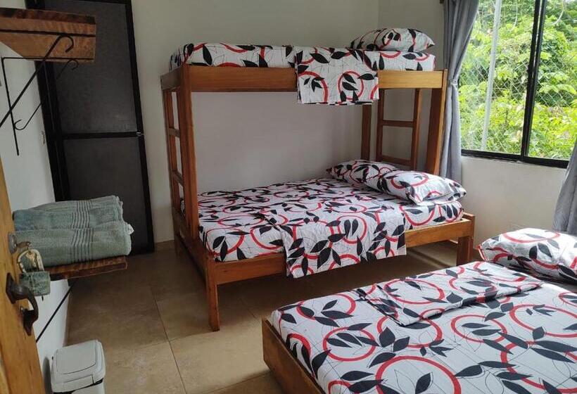 پانسیون Hostal Rojoyale