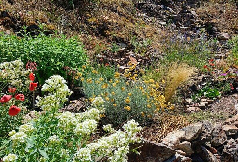 פנסיון La Maison Des Artistes