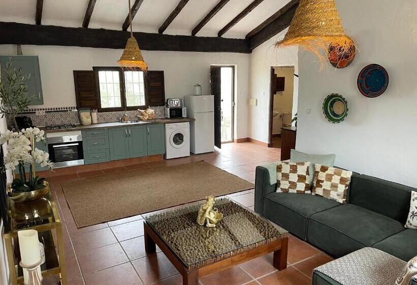 פנסיון Miluna Oasis Suites