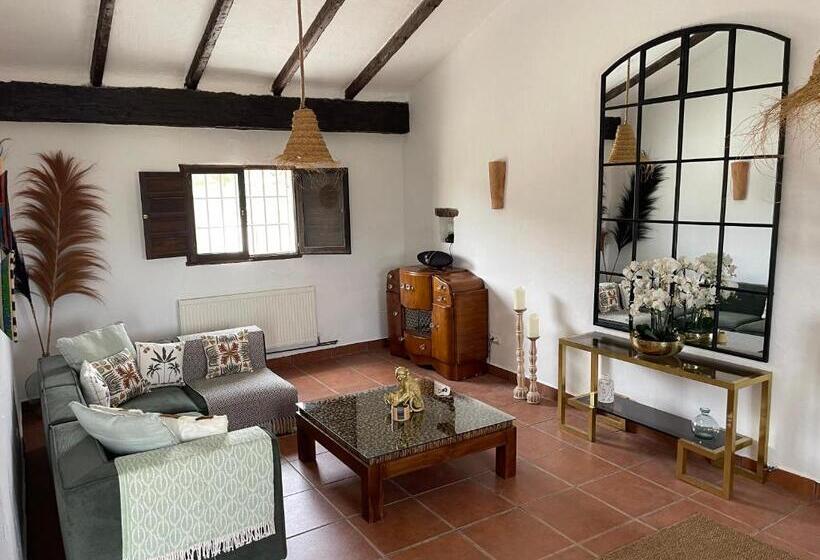 פנסיון Miluna Oasis Suites