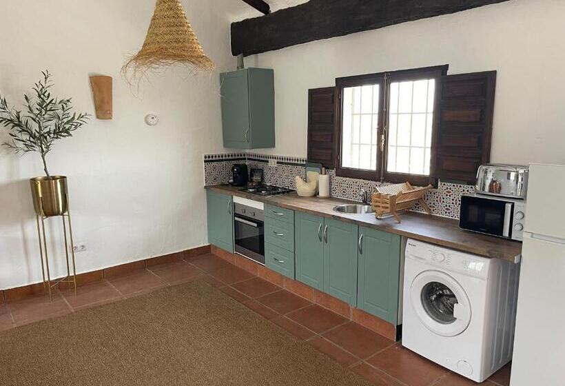 פנסיון Miluna Oasis Suites