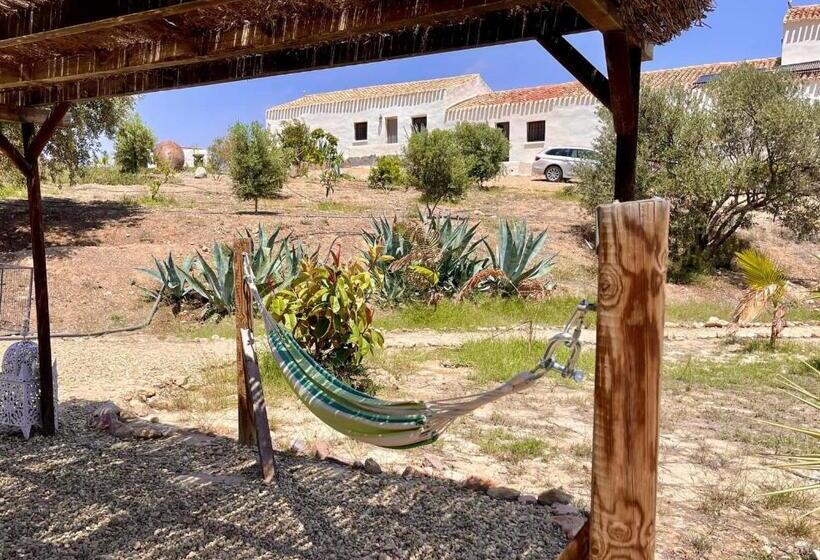 פנסיון Miluna Oasis Suites