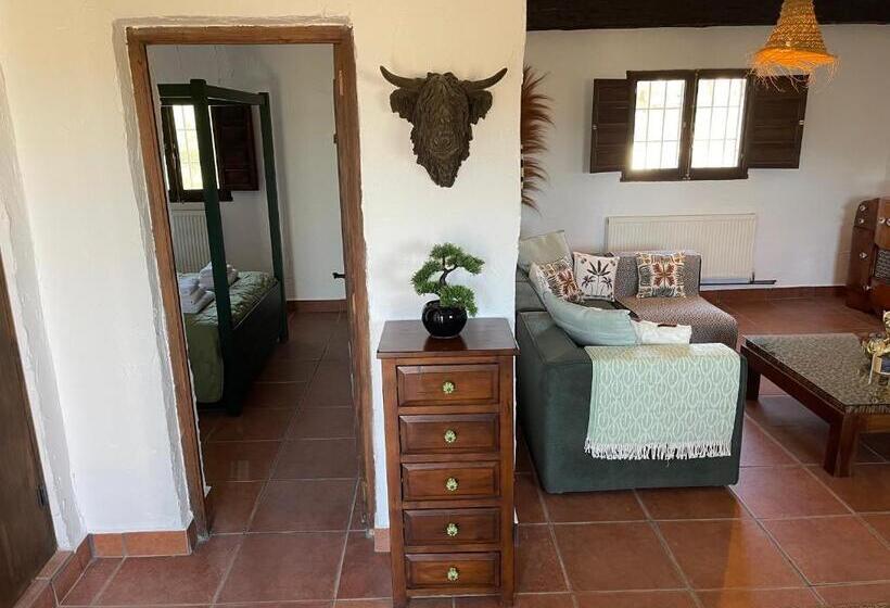 פנסיון Miluna Oasis Suites