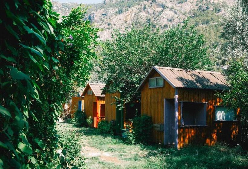 منتجع Kaplumbağa Bungalows