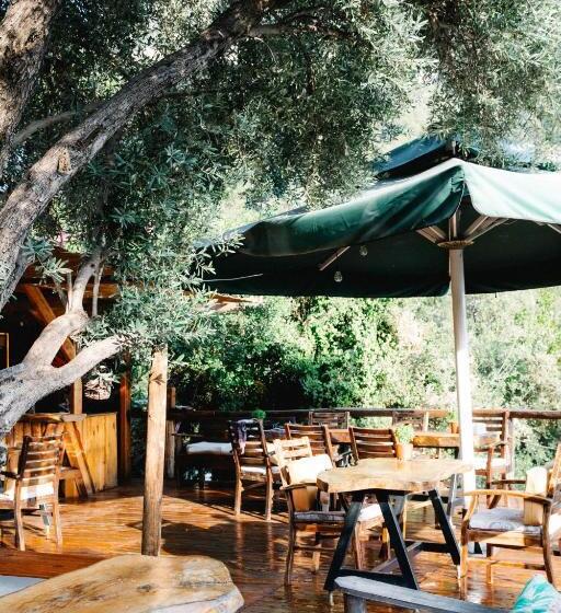 منتجع Kaplumbağa Bungalows