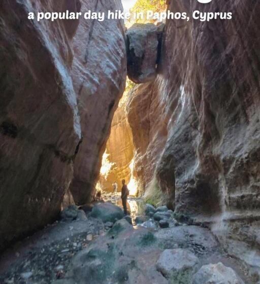 Arodes Asteria Volunteer & Youth Eco Hostel