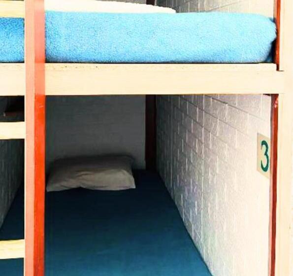 Arodes Asteria Volunteer & Youth Eco Hostel