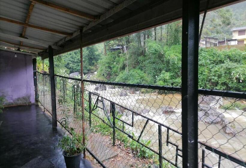 ユースホステル Pure Land Villa