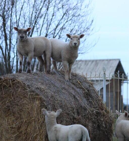 민박 Auberge De La Croix Du Maupas