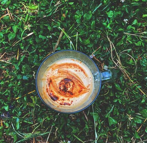 تختخواب و صبحانه Canvas And Coffee