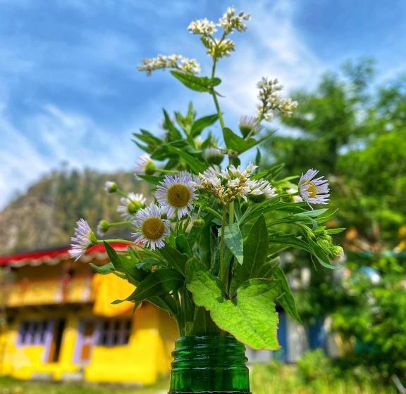 تختخواب و صبحانه Canvas And Coffee