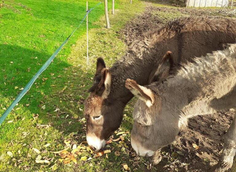 민박 Chambre Des Bords De Siame