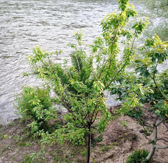 مبيت وإفطار Chambre