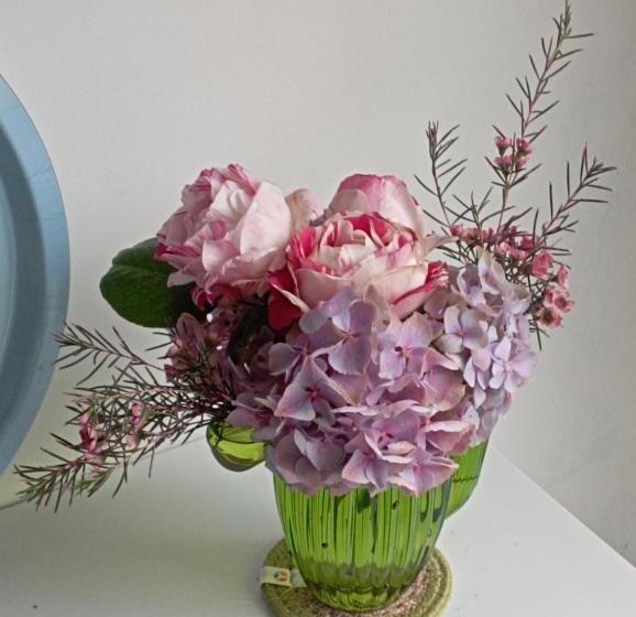 تختخواب و صبحانه Eole