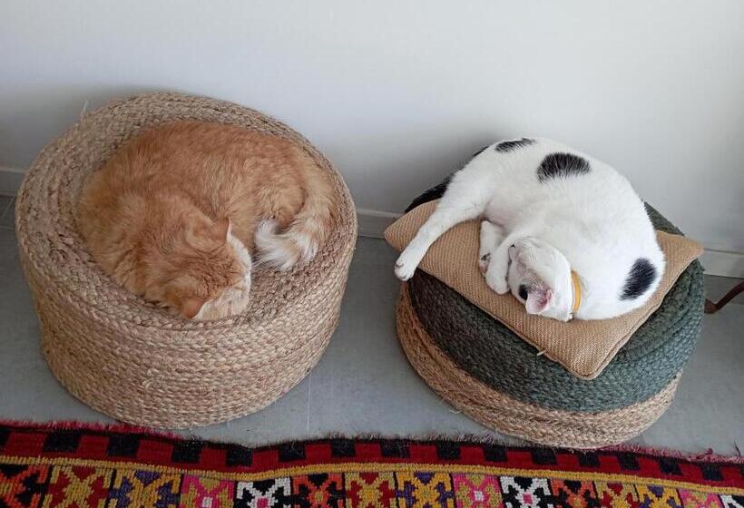 تختخواب و صبحانه Eole