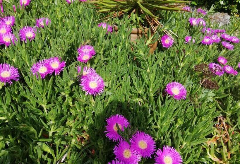 تختخواب و صبحانه Eole