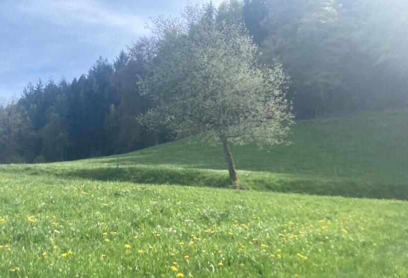 تختخواب و صبحانه Haus Am Alten Berg