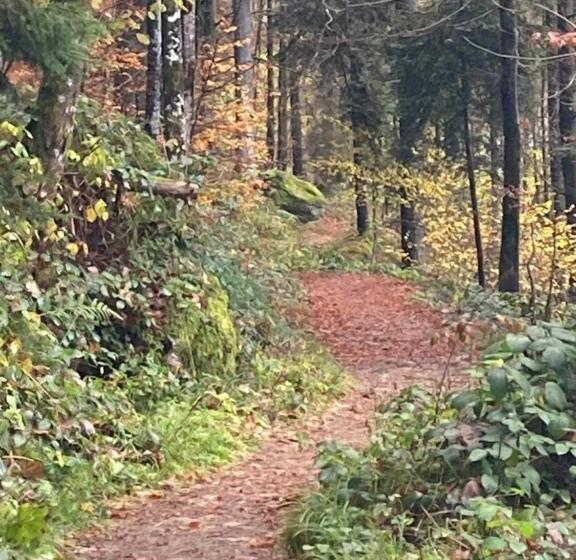 تختخواب و صبحانه Haus Am Alten Berg