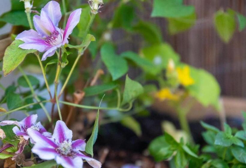 تختخواب و صبحانه L Escale Fleurie à Saint Brieuc
