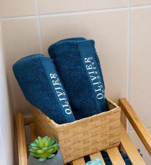 تختخواب و صبحانه L Escale Fleurie à Saint Brieuc