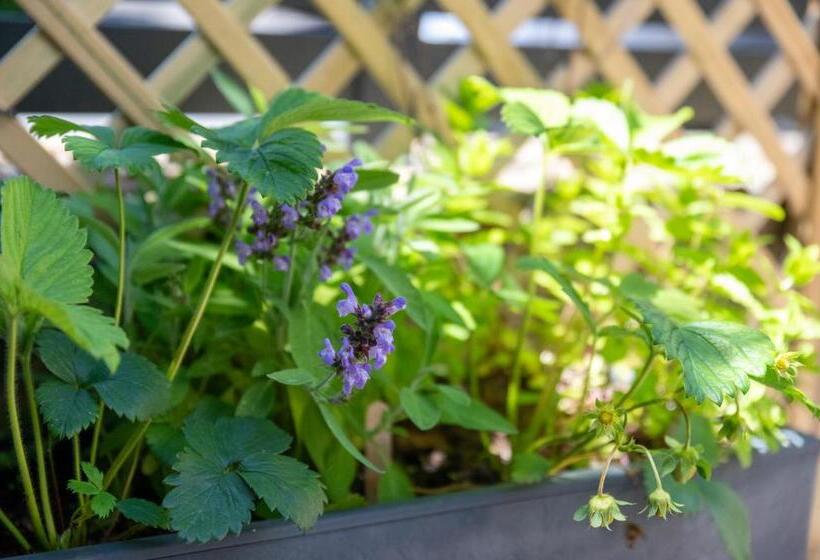 تختخواب و صبحانه L Escale Fleurie à Saint Brieuc