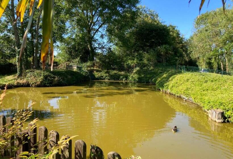 Bed and Breakfast L Overlord