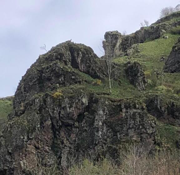 مبيت وإفطار La Gentiane