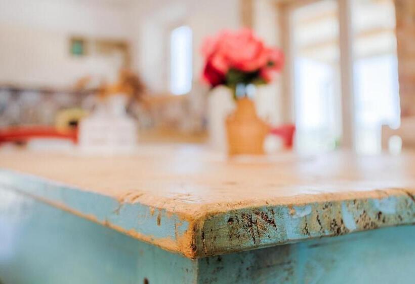 Bed and Breakfast La Terrazza Sul Vigneto