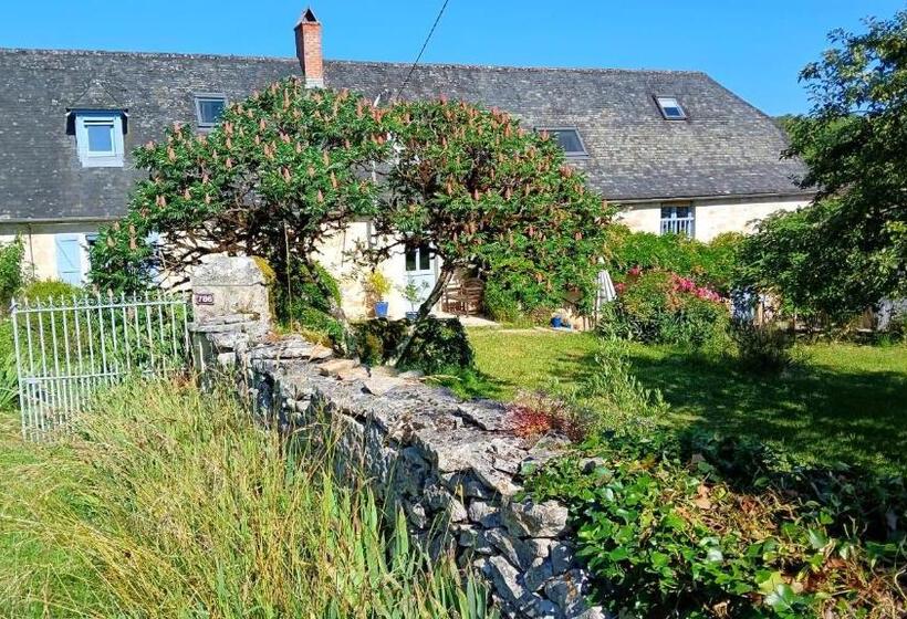 Bed and Breakfast Sous La Glycine