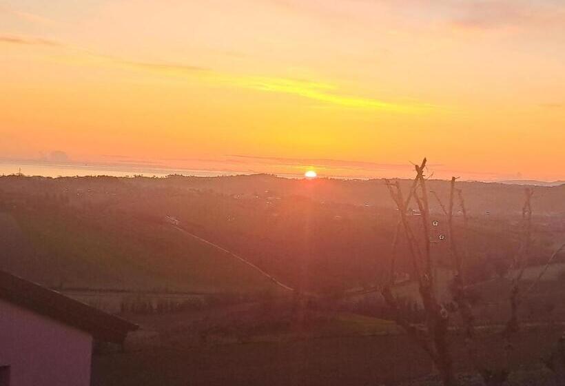 민박 Stelle Girasoli E Conchiglie