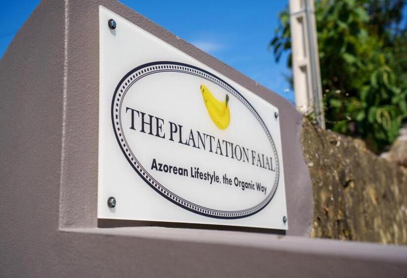 Bed and Breakfast The Plantation Faial