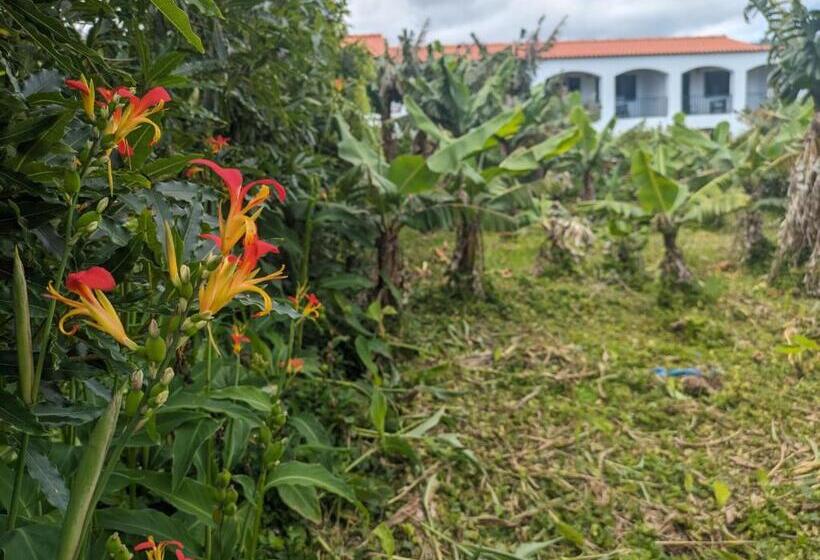 Bed and Breakfast The Plantation Faial