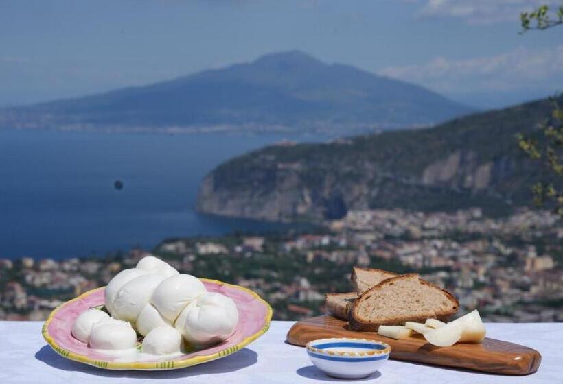 Отель Agriturismo Nonno Antonino