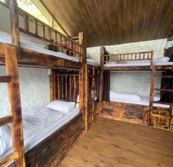 호텔 In The Jungle Camps