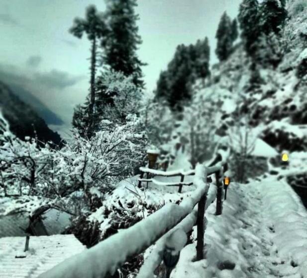 호텔 In The Jungle Camps