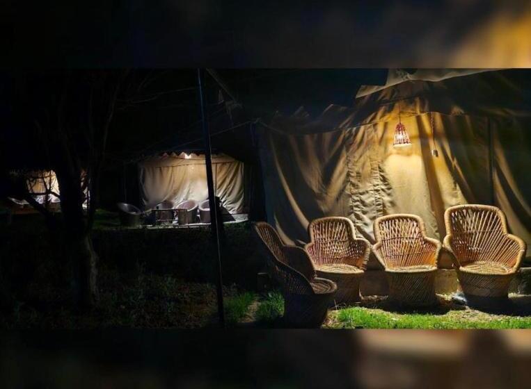 호텔 In The Jungle Camps