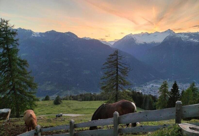 בית מלון כפרי Malga Plan