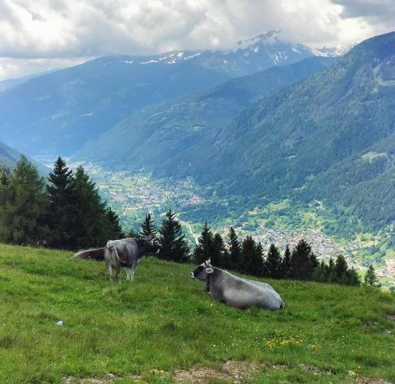 בית מלון כפרי Malga Plan
