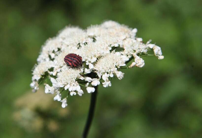 호텔 Sapanca Kırsal Silence