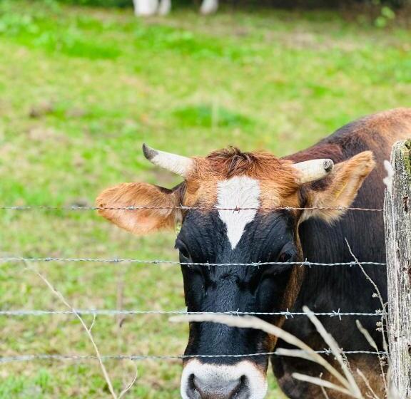 Пансион Haus Zum Nöckel