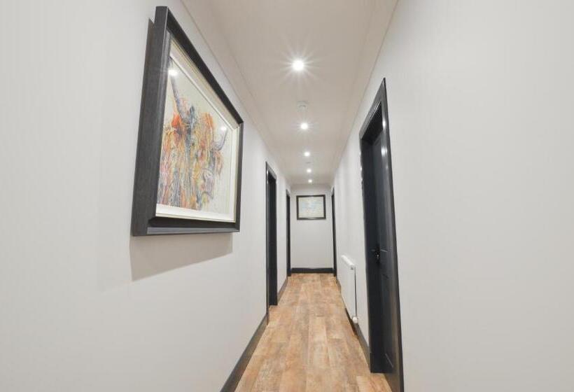 پانسیون The Righ