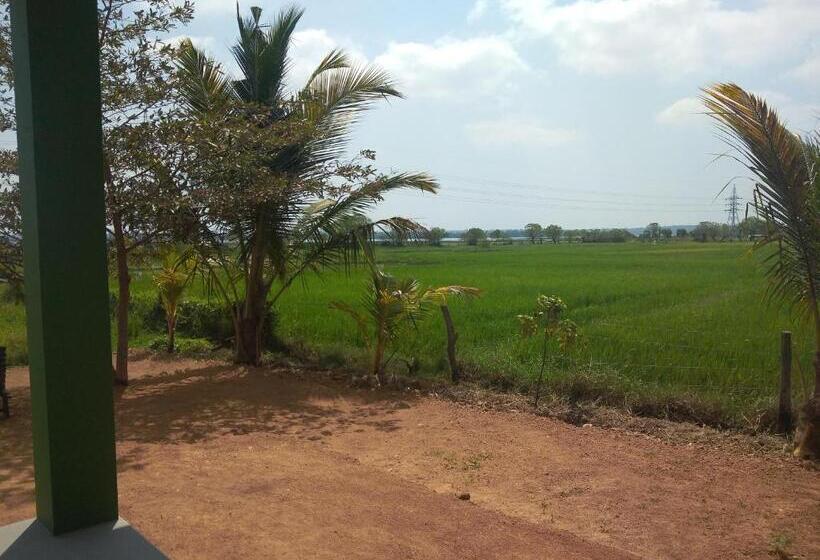 ペンション Why Not Guesthouse