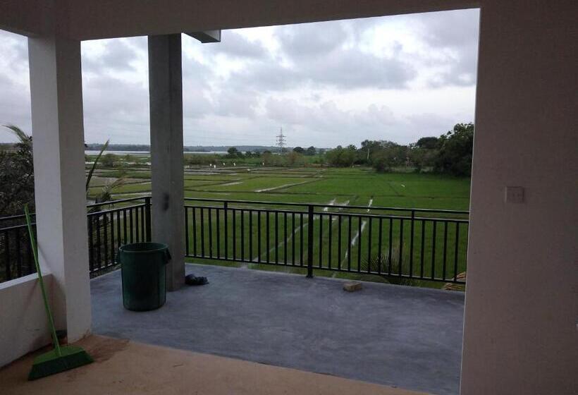 ペンション Why Not Guesthouse