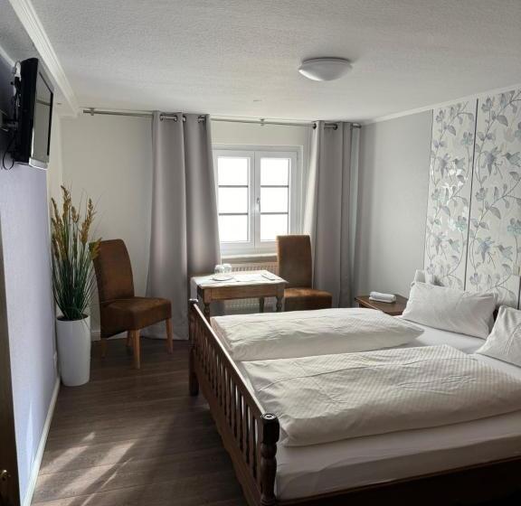 펜션 Zwovier Meersburg