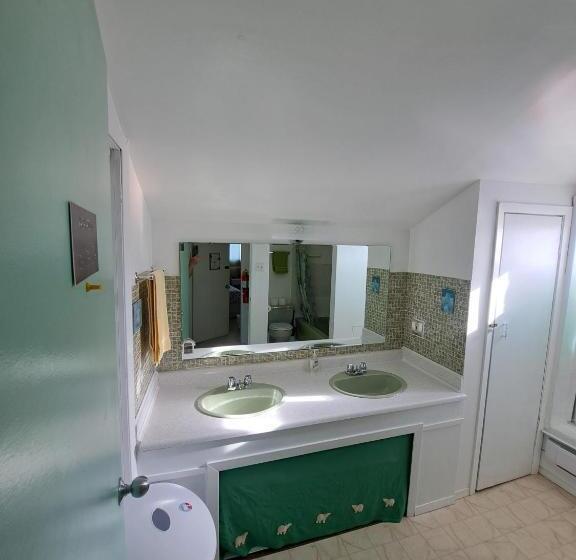 Polar Bear Bed And Breakfast