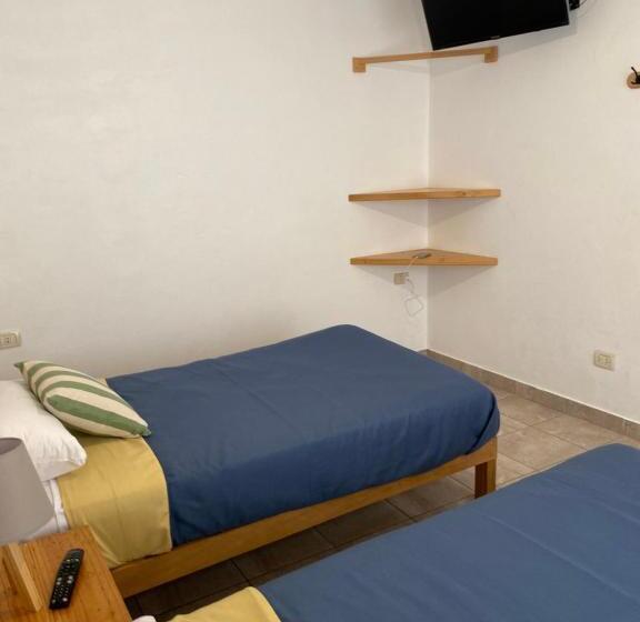 Ravenala Paracas Hostel